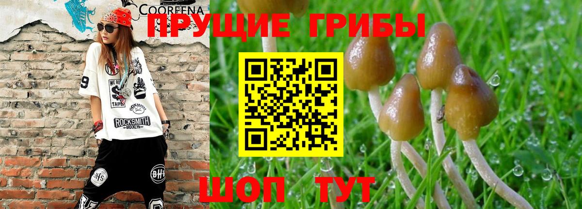 Галлюциногенные грибы ЛСД Кизляр