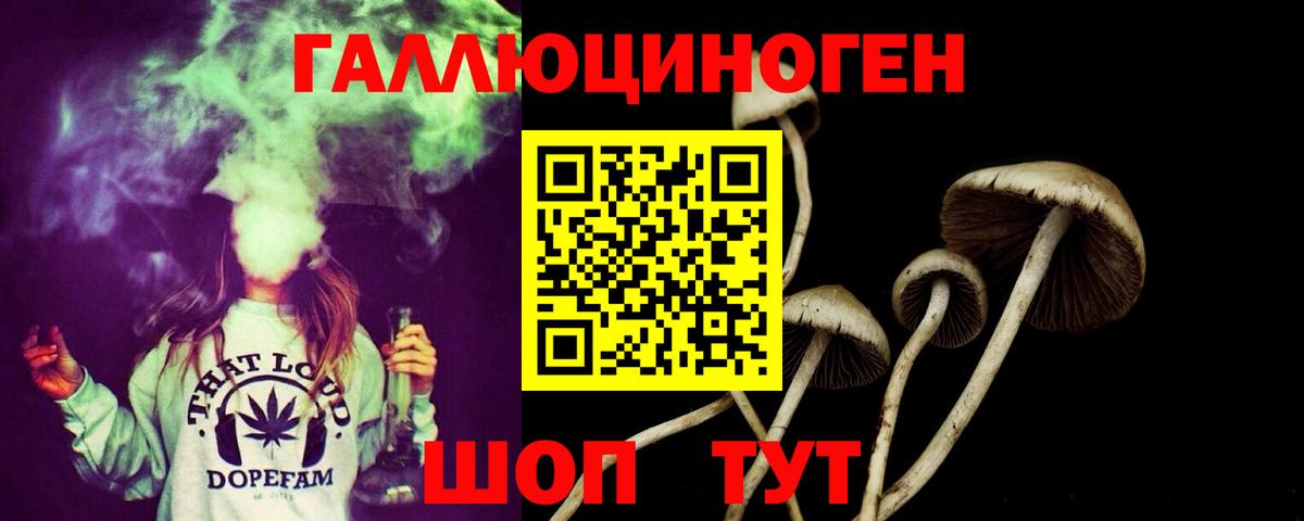 где продают   Вход с VPN  Кизляр  Галлюциногенные грибы ЛСД 
